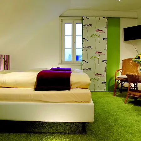 Otel Flair Nieder 3*