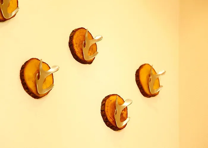 奈德尔弗莱尔酒店 酒店 3*