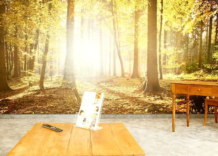 호텔 Flair Nieder 3*