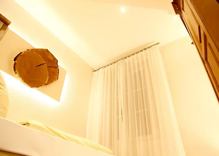 奈德尔弗莱尔酒店