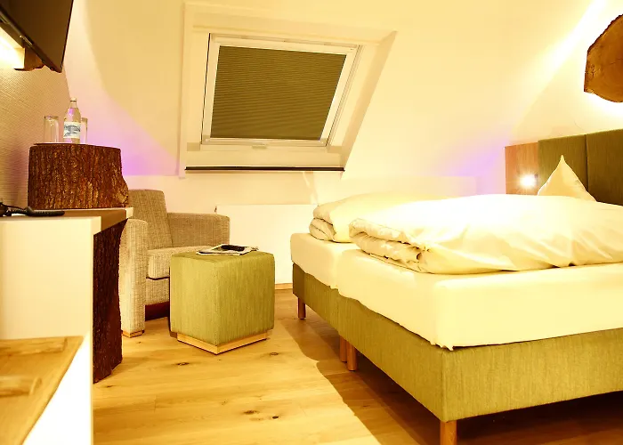 奈德尔弗莱尔酒店 3*